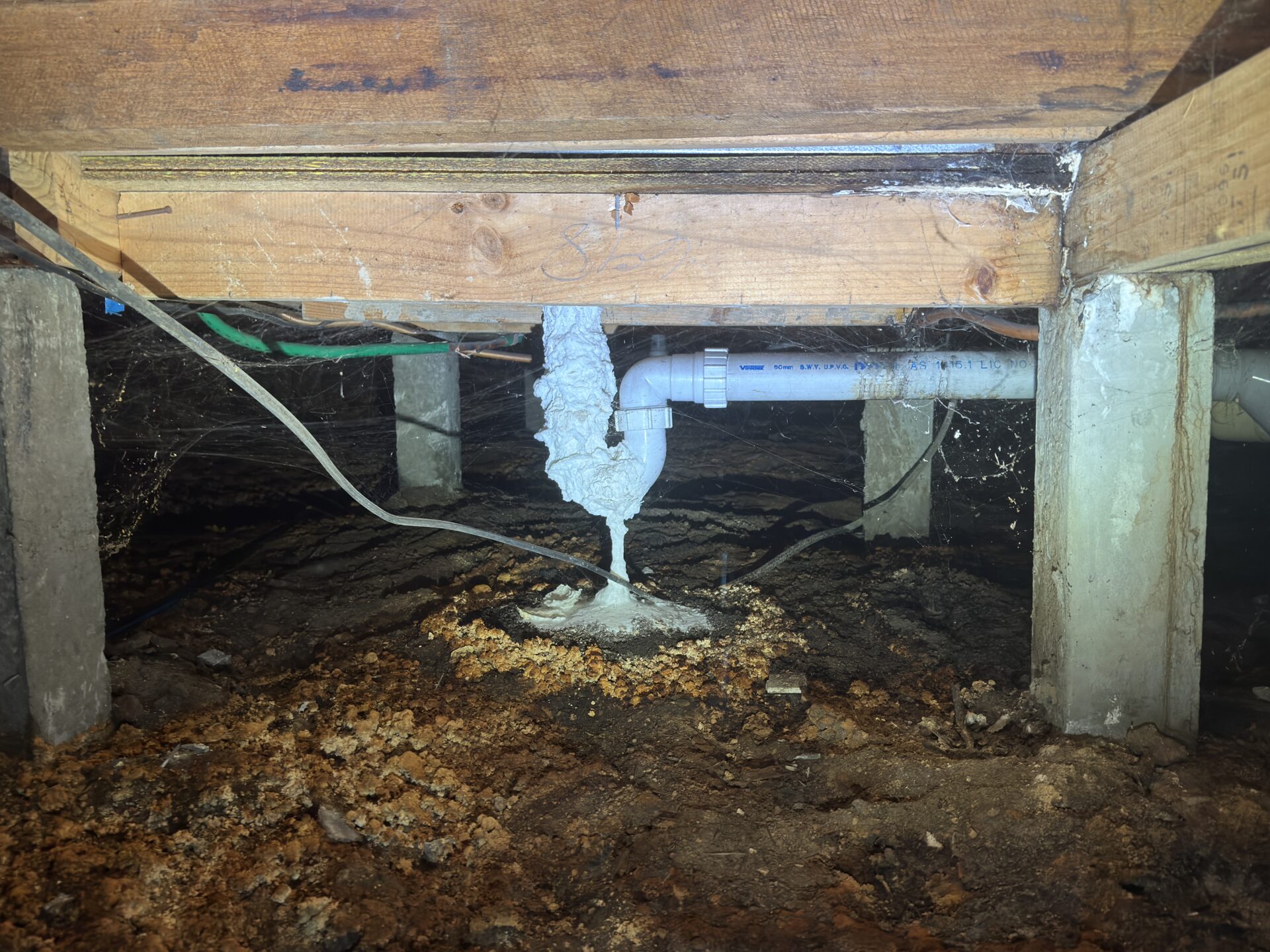 Building inspection Dingley Village - subfloor timber damage - bathroom leak