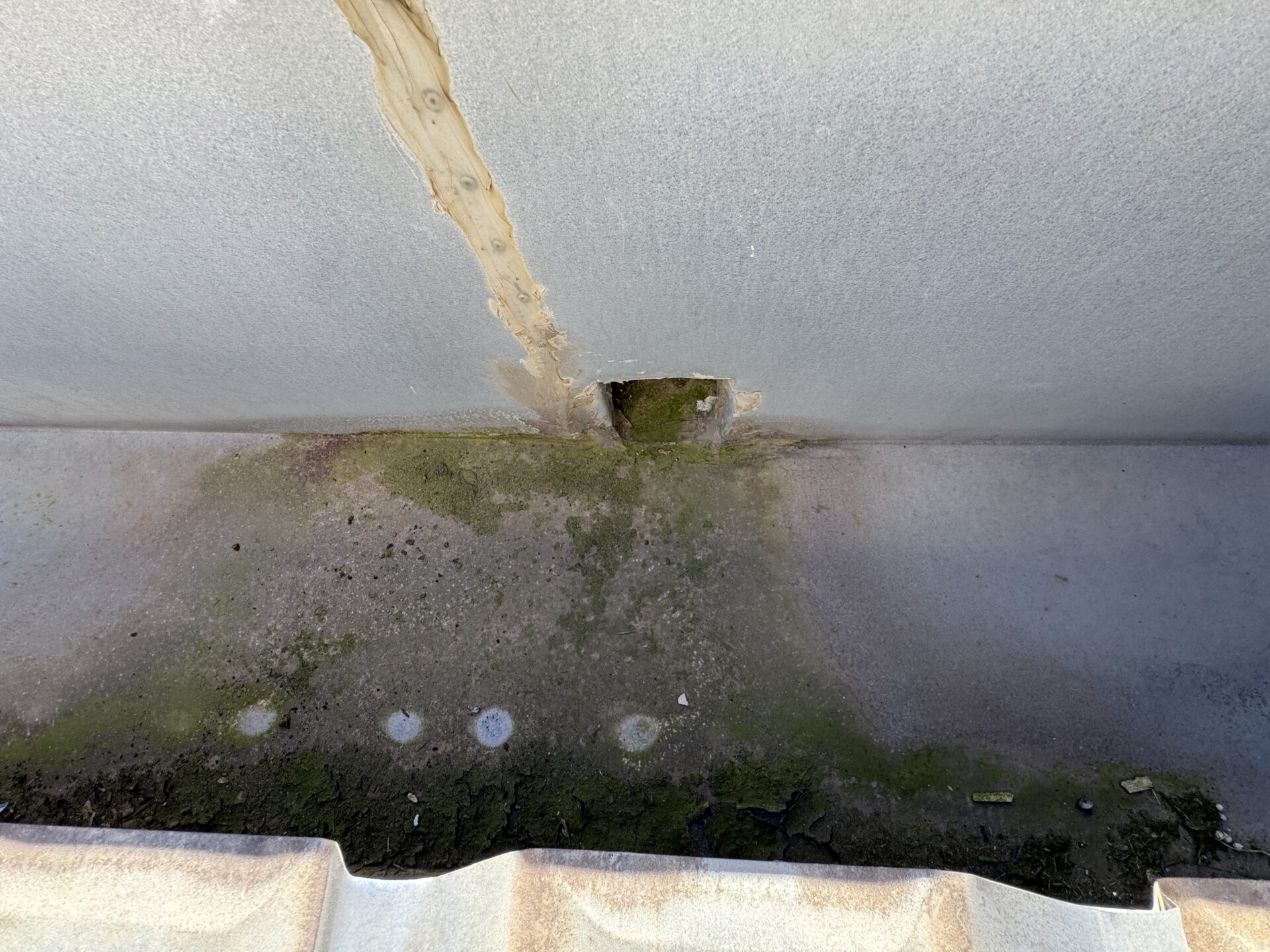 "Box gutter water ponding defect found in Melbourne inspection"