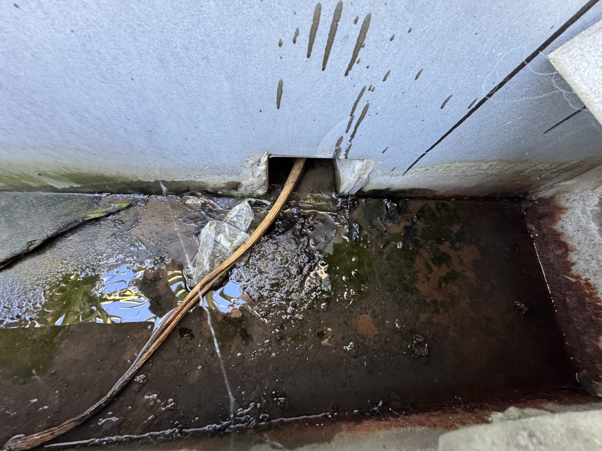 Roof drainage - Box gutter - Leaks - Keysborough