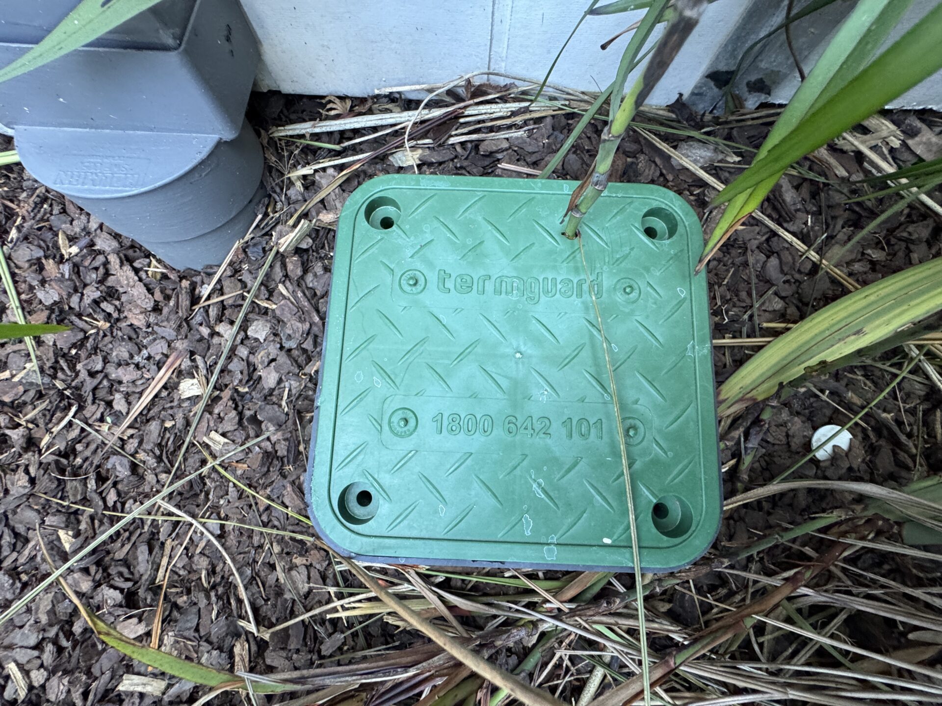 Termite - inspection - Noble Park