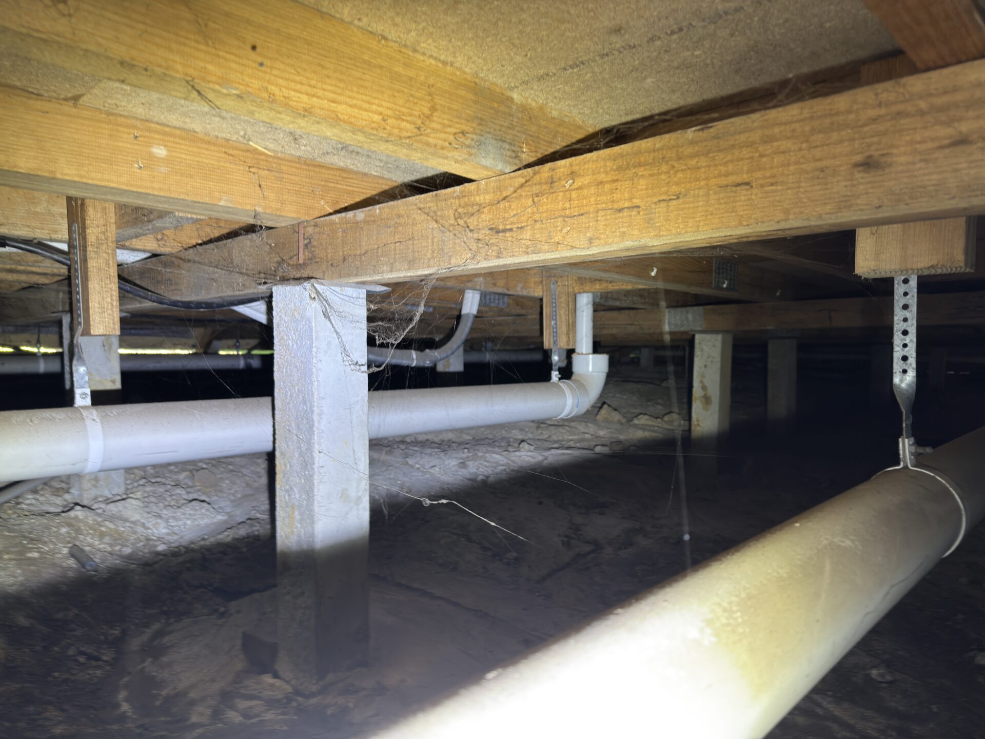 Building inspection Dingley Village - subfloor timber damage - bathroom leak