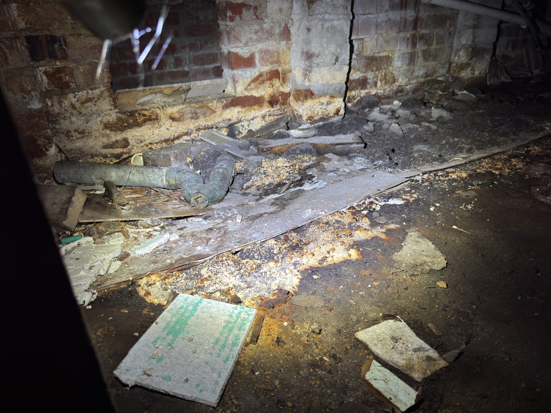 "Sub floor mould moisture dampness Clayton"