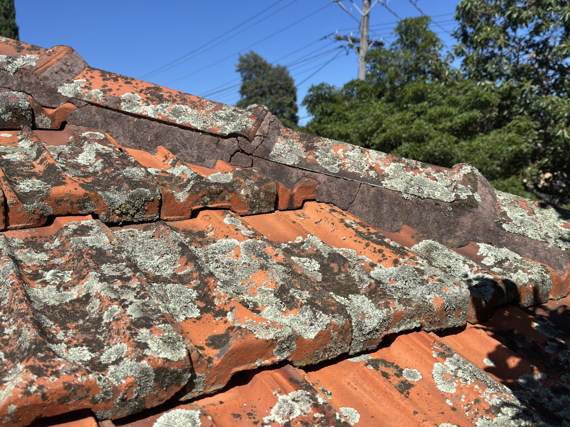 "Roof defects issues tile Terracotta repointing"