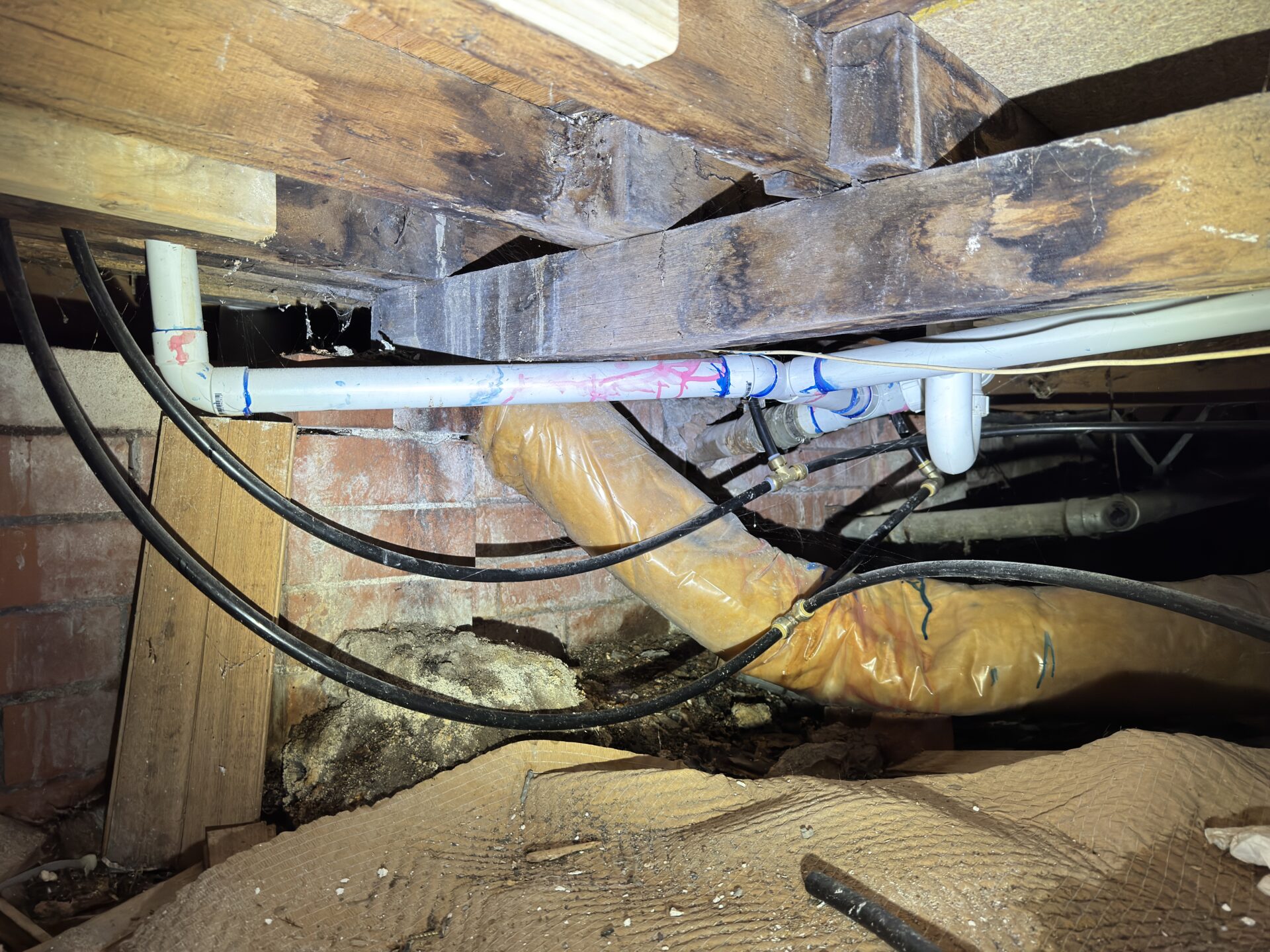 IMG_7347 Building inspection Dingley Village - subfloor timber damage - bathroom leak